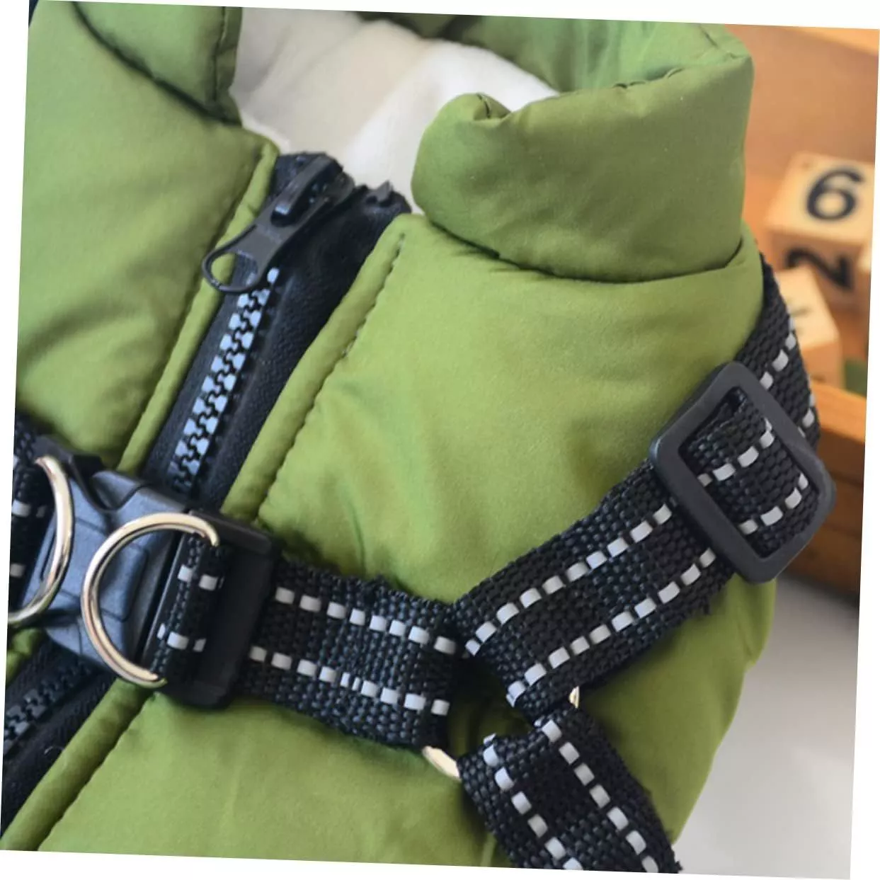 619qcEqhQiL._AC_SL1243_