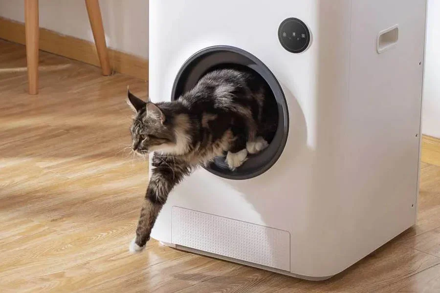 self-cleaning litter boxes